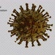 Coronavirus On Transparent Background - VideoHive Item for Sale