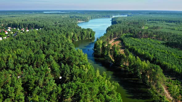 Forest and river Brda in summer, Poland alt