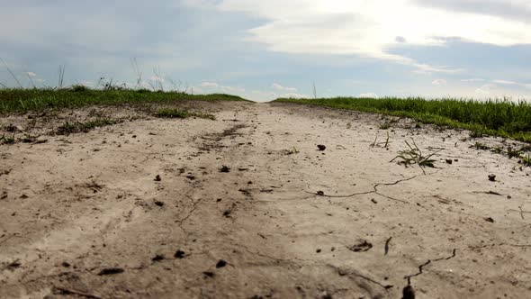Dirt Trail In The Field, Dried Dirt Road .The Process Of Revival