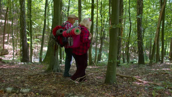 Senior Old Elderly Grandmother Grandfather Training Nordic Walking with Ski Trekking Poles in Wood alt