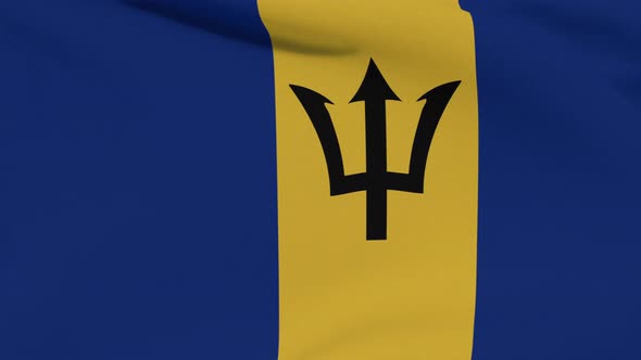 Flag Barbados Patriotism National Freedom Seamless Loop alt