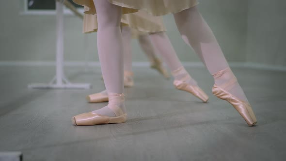 Front View Female Legs in Pointes Performing Tendu Ballroom Movement alt