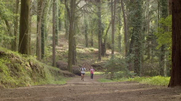Man and Woman Running Uphill in Forest alt
