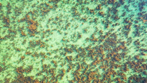 coral bleaching caused by global warming and over-average ocean temperature.Abstract aerial tropical alt