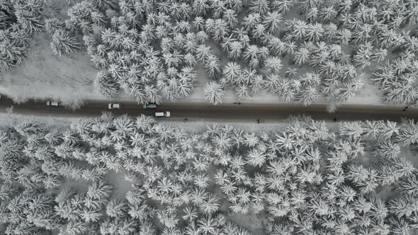 Aerial View of Cars Driving on the Road Through Frozen and Covered with Snow Pine or Spruce Forest alt