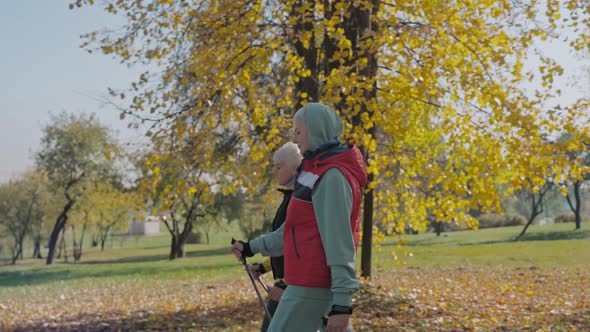 Two Aged Women Doing Nordic Walking in Fall City Park on a Sunny Day Side View