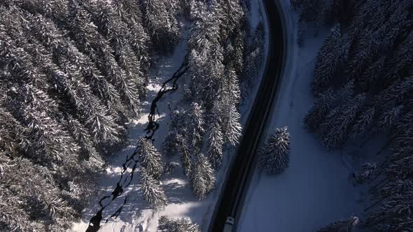 Cinematic Top Down View of Truck Moving on the Road Among Forest and River in Sunny Winter Day Truck