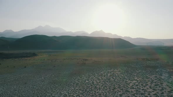 Flying into the Desert Lake with animals 2 alt