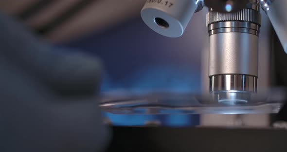 Sample under the Microscope alt