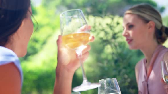 Friends interacting with each other at restaurant alt