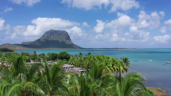 Aerial View Sunny Day Time alt