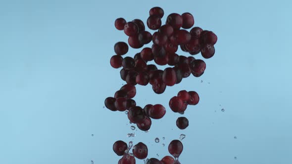 Fresh cranberries in slow motion, shot with Phantom Flex 4K at 1000 frames per second alt