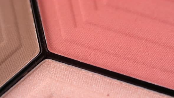 Macro Shot of Face Palette for Makeup alt