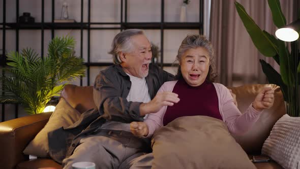 Elderly couple cheering for sports on their televisions at home at night, the cheering team wins