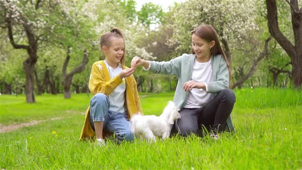 Little Smiling Girls Playing and Hugging Puppy in the Park