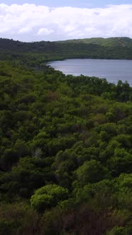 Aerial Vertical Shot Rising Above Jungle and Lagoon in Tropical Landscape