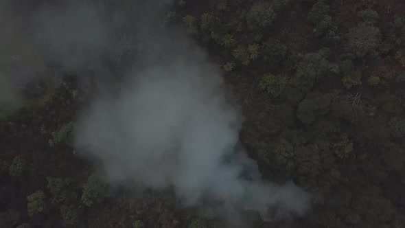 Aerial view of hot pool in rainforest