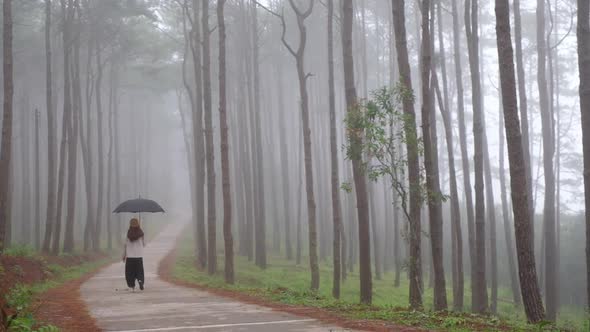 Slow motion rear view of a young woman with umbrella walking alone in the woods on foggy day