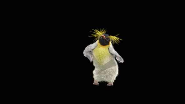 Penguin Dancing 4K alt