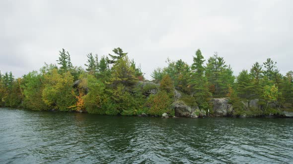 Autumn trees along the shore alt