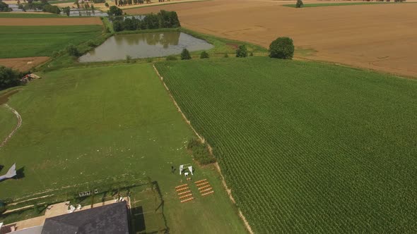 Drone fly ove the leak and fields. High quality  alt