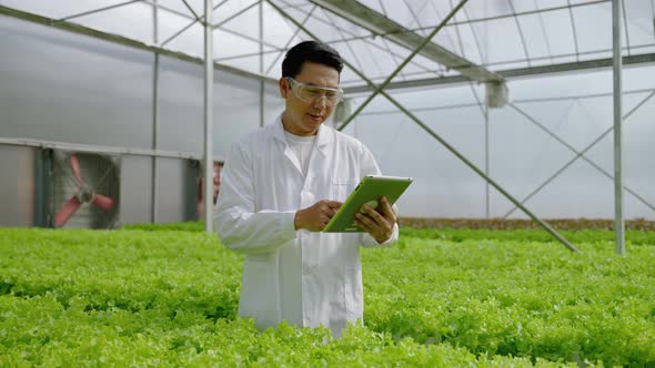 Asian male scientists work to check the results of an organic vegetable experiment in a hydroponic