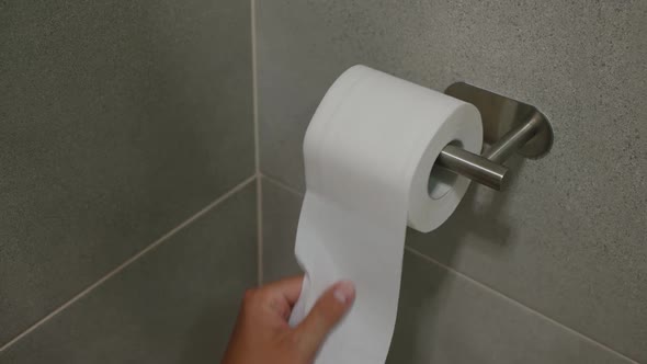 Hand Taking Toilet Paper