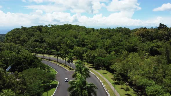 Car Drive By Road Between Green Trees in Sunny Day alt