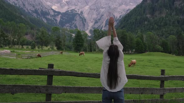 Traveller Woman is Viewing Meadows with Cows and Mountains in Alpine Region alt