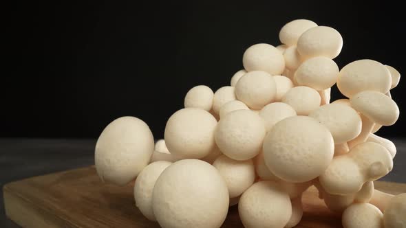 White Shimeji Mushrooms 09 alt