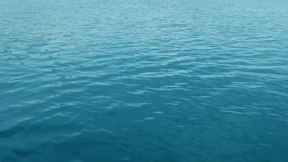 Moving Over Calm Sea Water alt