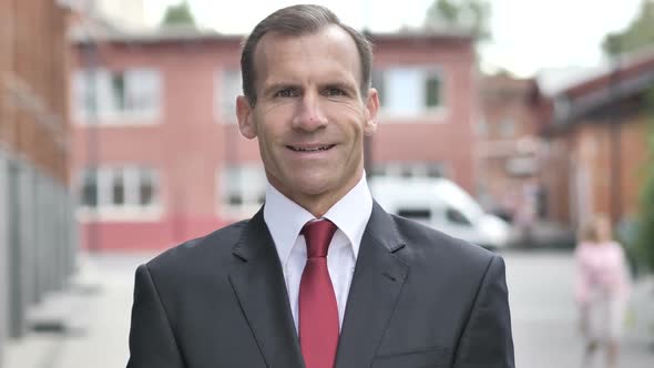 Smiling Businessman alt