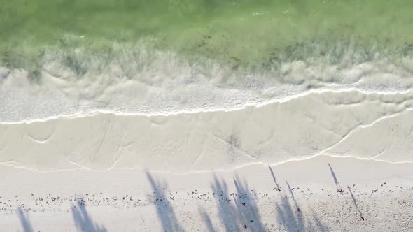 Vertical Video Empty Beach on Zanzibar Island Tanzania Aerial View alt
