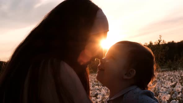 Close Up Silhouette of a Young Woman Kissing Her Young Son Sitting on a Flower Meadow at Sunset