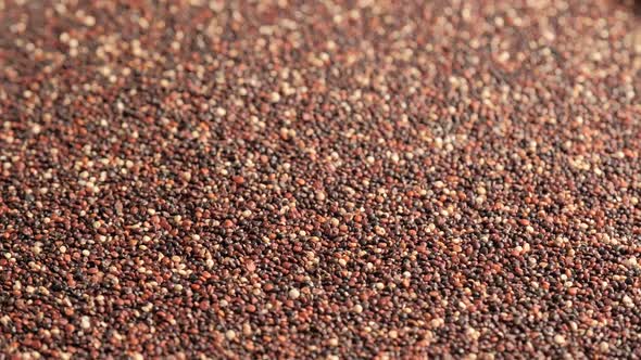 Black raw quinoa rotating alt