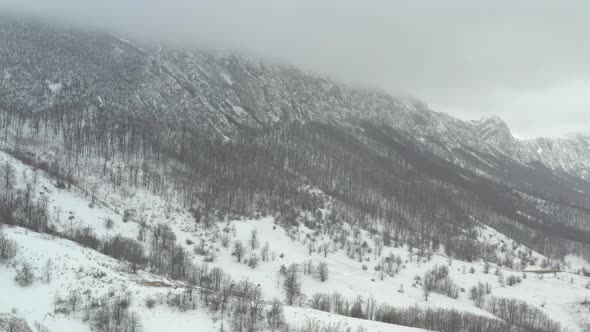 Forest on top of the Veliki Krsh mountain 4K drone video alt