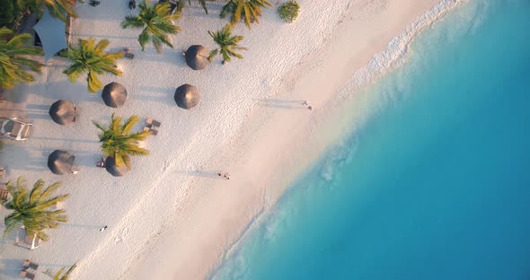 Aerial View of Sea Waves, Umbrellas, Green Palms on The Sandy Beach at Sunset. Summer 