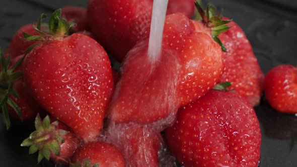 Fresh strawberries are washed under running water. Organic ripe strawberry. Close up