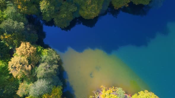 Forest and Lake