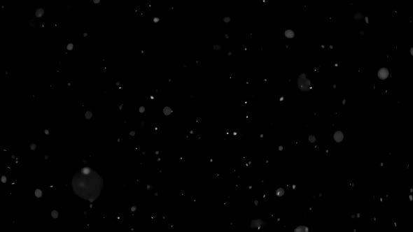 Real Snow Falling Isolated on Black Background, It Is Snowing in Cold Winter Concept alt