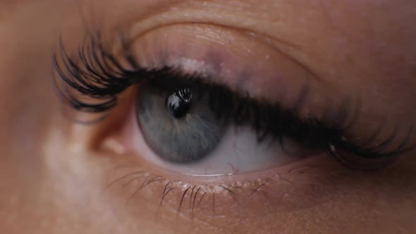 Female Macro Woman Eye with Long Eyelashes Close Up Hollywood Length Beauty Salon alt