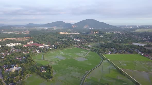 Fly toward Bukit Mertajam paddy field alt