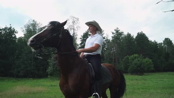 Cowboy in a Hat Rides a Horse in a Clearing Near the Forest, the Horse Rears and Gallops, Walk on alt