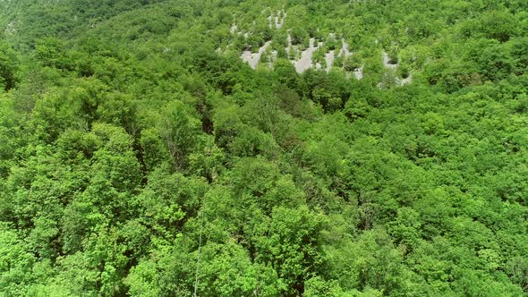 Aerial view of a person crossing the forest through a large zip line cable. alt