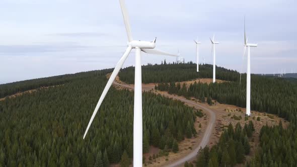 Aerial shot of a wind farm alt