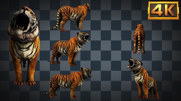 [6 In 1]4k Tiger Howl