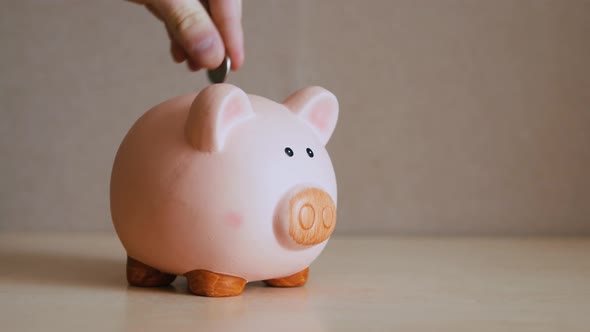 Put the iron coin piggy Bank pig