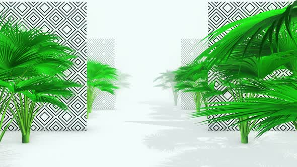 Fashion Palm Tree 01 4k 