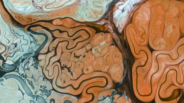 Abstract Colorful Food Paint Diffusion Spread 078 alt