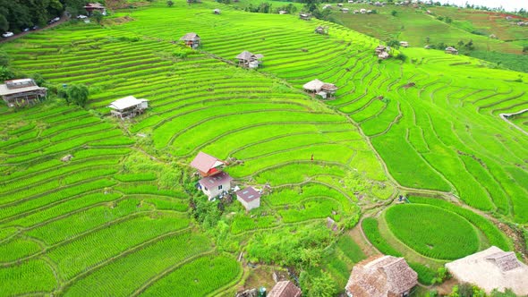 Aerial drone footage of rice terraces and farmer village at Pa pong piang alt